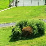 Hotel La Reserve